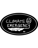 Climate Emergency Price Carbon Sticker - 6x3.5in - Black - Oval