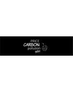 Price Carbon Pollution Now - 3.5x11in - Black - Bumper Sticker