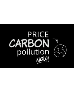 Price Carbon Pollution Now Sticker - 3X5 - Black