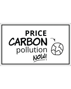 Price Carbon Pollution Now Sticker - 3X5 - White