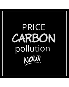 Price Carbon Pollution Now Sticker - 3.5in - Black -Square