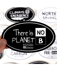 There is No Planet B Sticker - 6x3.5in - Black - Oval