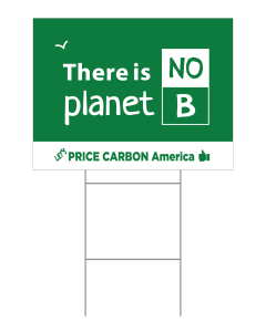 There Is No Planet B Price Carbon Yard Sign - 16x21 - Green