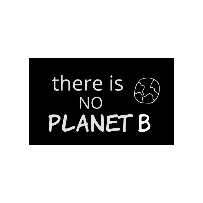 There Is No Planet B Sticker 3x5 Black Climatestore